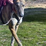 amira_2026-02-22 at 21-22-04