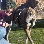 amira_2026-02-23 at 21-22-04