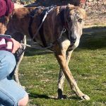 amira_2026-02-24 at 21-22-04