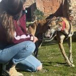 amira_2026-02-26 at 21-22-04