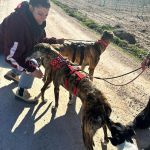 Amira und Salma_2026-02-23 at 21-27-44