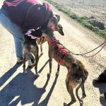 Amira und Salma_2026-02-24 at 21-27-44