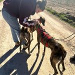 Amira und Salma_2026-02-25 at 21-27-44