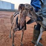 Anjasa_IMG_20251230_180952