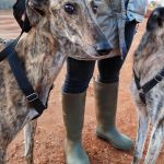 Anjasa_IMG_20251230_181020