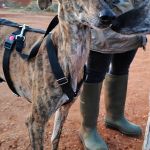 Anjasa_IMG_20251230_1810249