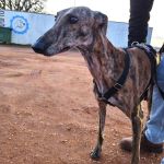 Anjasa_IMG_20251230_181155