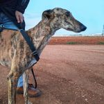 Anjasa_IMG_20251230_181219