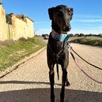 Anton_2026-02-21 at 12-16-41