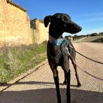 Anton_2026-02-22 at 12-16-42