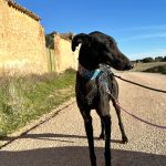 Anton_2026-02-23 at 12-16-42