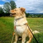 aroa_2026-06-21 at 10-59-55