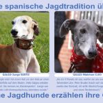 Banner-2023-Galgos1-small