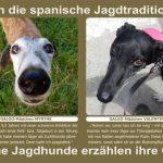 Banner-2023-Galgos2-small