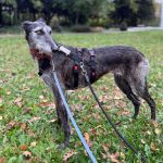 Barbi_31b6ba3a-5ce1-4739-9beb-3ca5e9ec6ce2