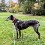 Barbi_b27ab80a-847b-44f0-8cd2-54d5a4cb02ec