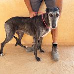 Barbi_IMG_0081