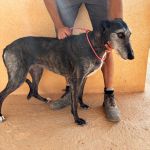 Barbi_IMG_0082