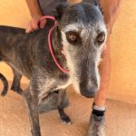Barbi_IMG_0083