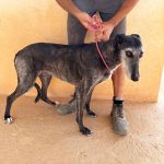 Barbi_IMG_0084