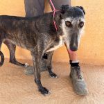Barbi_IMG_0088