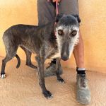 Barbi_IMG_0090