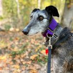 Barbi_IMG_2312