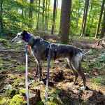 Barbi_IMG_2321