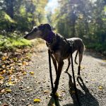 Barbi_IMG_2324