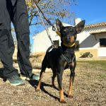 Batt_2026-02-20 at 11-58-30