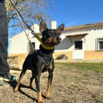 Batt_2026-02-21 at 11-58-30