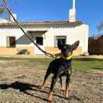 Batt_2026-02-22 at 11-58-30