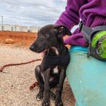 Bayron_IMG_20231022_120832