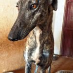 Beauty_IMG_20260329_132403