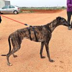 Beauty_IMG_20260411_134055