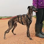 Beauty_IMG_20260411_134107