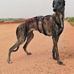 Beauty_IMG_20260411_134108