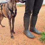 Beauty_IMG_20260411_134114