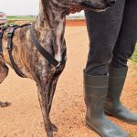 Beauty_IMG_20260411_134119