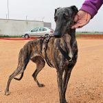 Beauty_IMG_20260411_134127