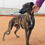 Beauty_IMG_20260411_134128