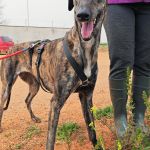 Beauty_IMG_20260411_134225