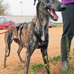 Beauty_IMG_20260411_134227