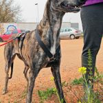 Beauty_IMG_20260411_134228