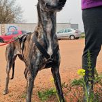 Beauty_IMG_20260411_134229