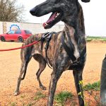 Beauty_IMG_20260411_134231