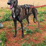 Beauty_IMG_20260411_134349