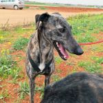 Beauty_IMG_20260411_134419