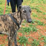 Beauty_IMG_20260411_134432