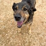Belinda_IMG_6503